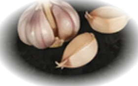 Fresh garlic